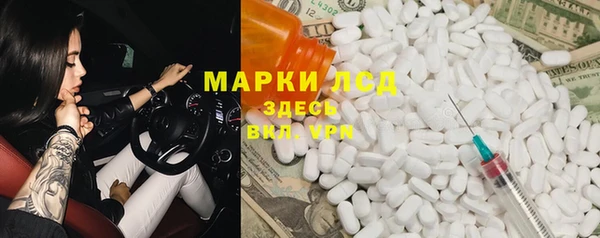 ГАЛЛЮЦИНОГЕННЫЕ ГРИБЫ Михайлов