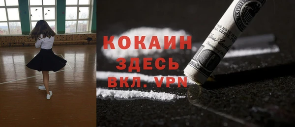 ГАЛЛЮЦИНОГЕННЫЕ ГРИБЫ Михайлов