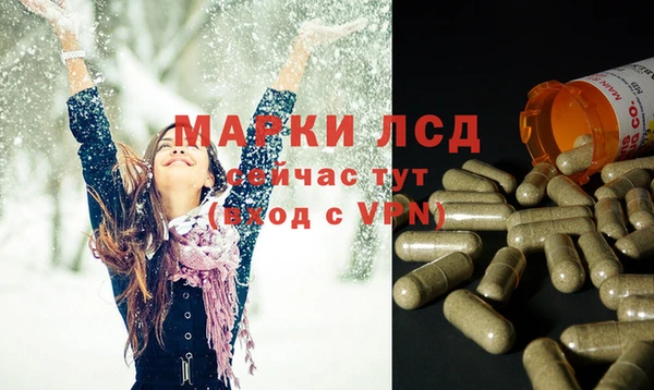 ГАЛЛЮЦИНОГЕННЫЕ ГРИБЫ Михайлов