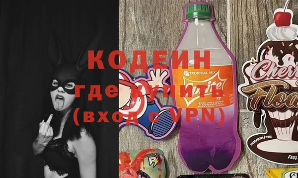 ГАЛЛЮЦИНОГЕННЫЕ ГРИБЫ Михайлов