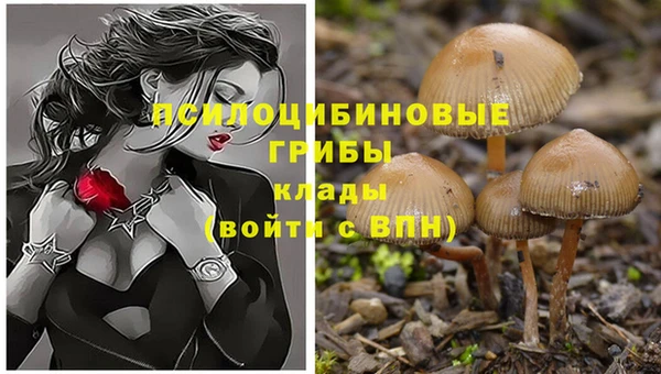 COCAINE Михайловка