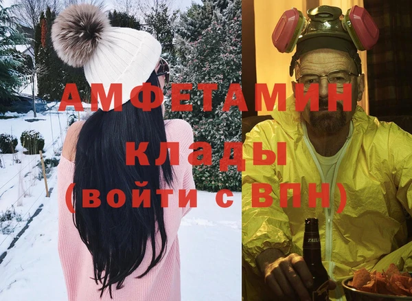 ГАЛЛЮЦИНОГЕННЫЕ ГРИБЫ Михайлов