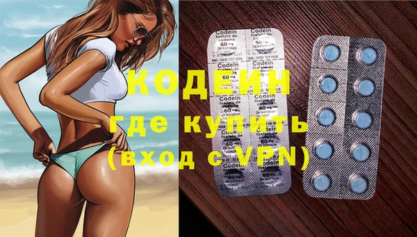 ГАЛЛЮЦИНОГЕННЫЕ ГРИБЫ Михайлов