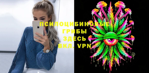 ГАЛЛЮЦИНОГЕННЫЕ ГРИБЫ Михайлов