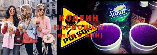 ГАЛЛЮЦИНОГЕННЫЕ ГРИБЫ Михайлов
