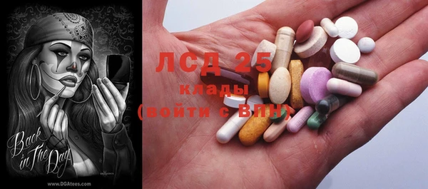 ГАЛЛЮЦИНОГЕННЫЕ ГРИБЫ Михайлов