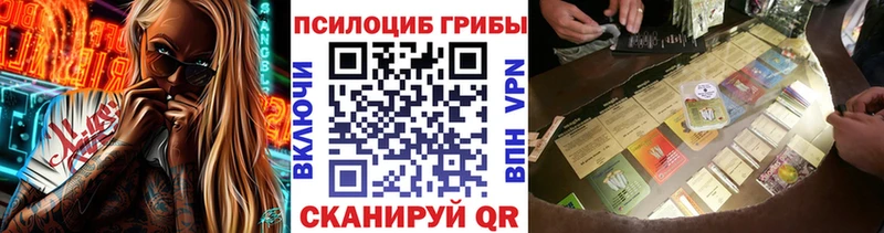 как найти   Трёхгорный  Галлюциногенные грибы Cubensis 